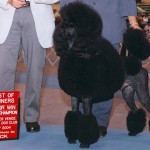 Griffin finishing CH