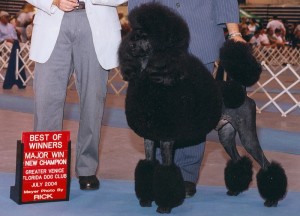 Griffin finishing CH