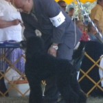 Mondo 7 mo first show