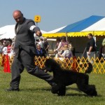 Ruby 7 mo first show 2