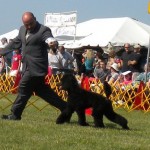 Ruby 7 mo first show 3