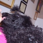 I love you   too mondo sep 11