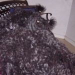 Is there a dog in there Monda sep 11