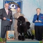 eMerry_PCA_show_photo Adriano fix 2 - Copy