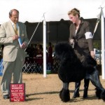 Questo 15  mo 4 ptr r