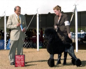 Questo 15  mo 4 ptr r