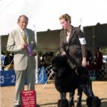 Vivi 15  mo finish r