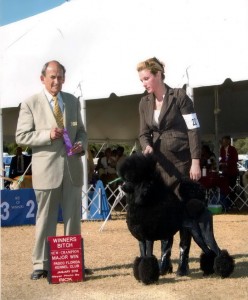 Vivi 15  mo finish r