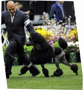 PCA Questo moving 2 r