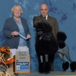 Vivi 3pt major darkened c