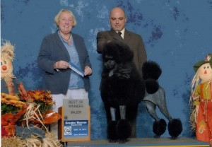 Vivi 3pt major darkened c