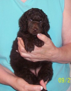 gabi as baby