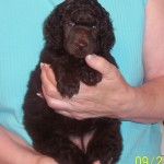 gabi as baby