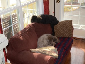 Gabi and Nadzeja enjoying their love seat