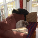 Gabi and Nadzeja relaxing on their love seat