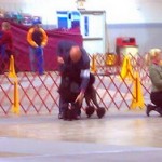 Harrisonburg BIS lineup