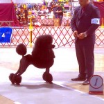 Harrisonburg group 2