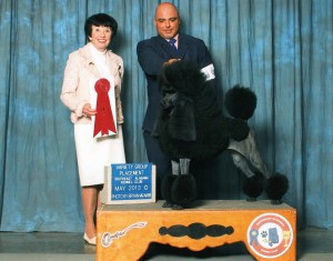 Pearl  grp place may13