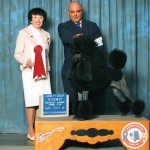 Pearl  grp place may13