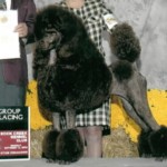 Annie Group1-cropped