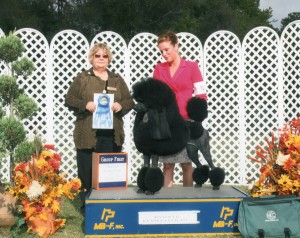 Pearl G1 Hanover oct 13056 r