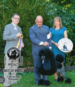 Pearl Specialty Best IN Show Quinnipiac c r