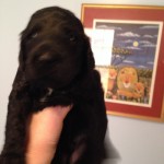 18 days biggest boy white splash